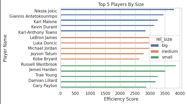 Top 5 Players by Size